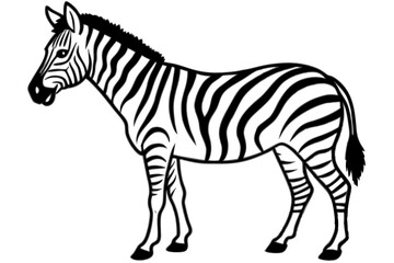 Minimalist Zebra Vector
