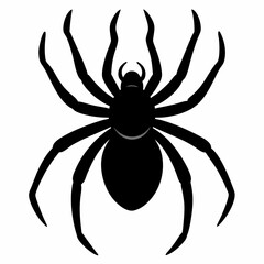 Black Spider Vector Icon Design