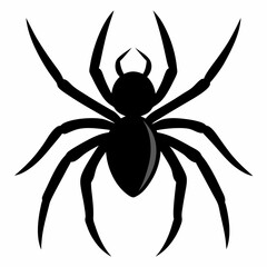 Black Spider Vector Icon Design