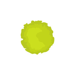 Top view green tree illustration 