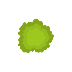 Top view green tree illustration 
