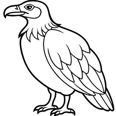 Condor in a Single Line Vector Art