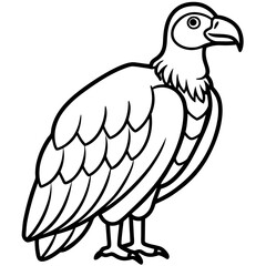 Condor in a Single Line Vector Art