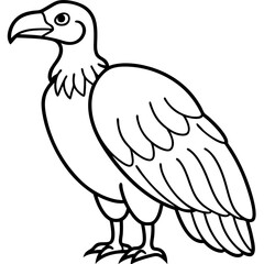 Condor in a Single Line Vector Art