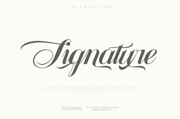 Hand drawn Signature Hand drawn vector alphabet. Modern monoline signature script font. Elegant Signature Font. Best Alphabet Beautiful Calligraphy Signature Font lettering handwritten