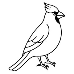 Elegant Cardinal Outline Vector Design