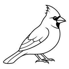 Elegant Cardinal Outline Vector Design
