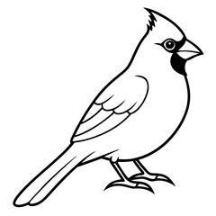 Elegant Cardinal Outline Vector Design