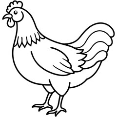 Clean Chicken Line Art Design