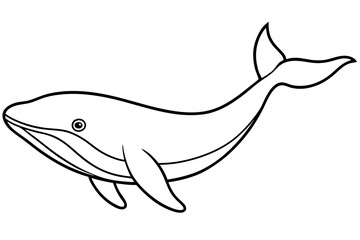 Modern Whale Art Vector