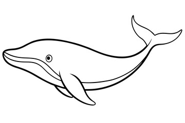 Modern Whale Art Vector
