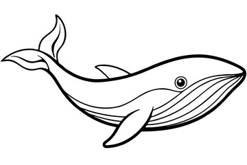 Modern Whale Art Vector