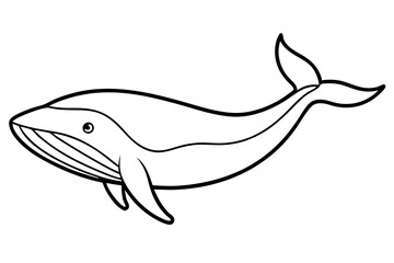 Modern Whale Art Vector