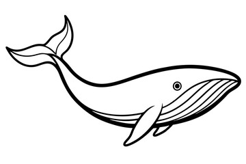 Modern Whale Art Vector