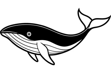 Modern Whale Art Vector