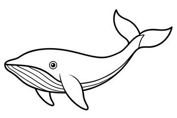 Modern Whale Art Vector