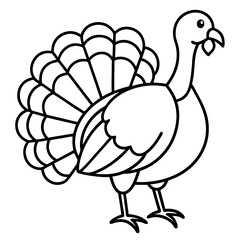 Clean Turkey Silhouette in Line Art