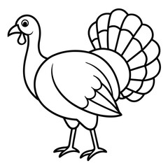 Clean Turkey Silhouette in Line Art