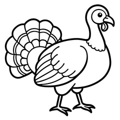 Clean Turkey Silhouette in Line Art