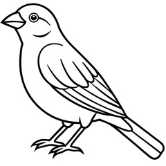 Elegant Finch One-Line Drawing