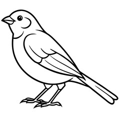 Elegant Finch One-Line Drawing