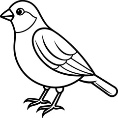 Elegant Finch One-Line Drawing