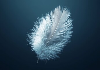 Obraz premium A single, dainty feather set against a somber background, its intricate features implying a sense of weightlessness and liberation