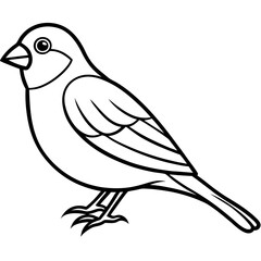 Elegant Finch One-Line Drawing