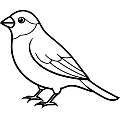 Elegant Finch One-Line Drawing