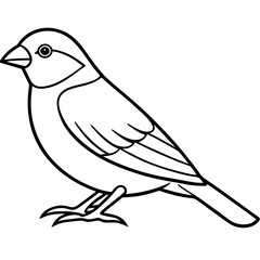 Elegant Finch One-Line Drawing