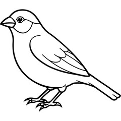 Elegant Finch One-Line Drawing