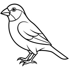 Obraz premium Elegant Finch One-Line Drawing