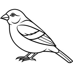 Elegant Finch One-Line Drawing