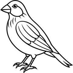 Elegant Finch One-Line Drawing