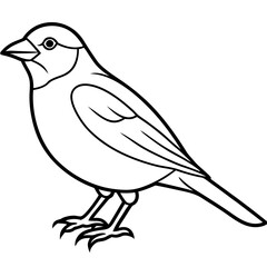 Elegant Finch One-Line Drawing