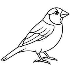 Elegant Finch One-Line Drawing