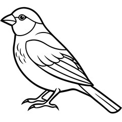 Elegant Finch One-Line Drawing
