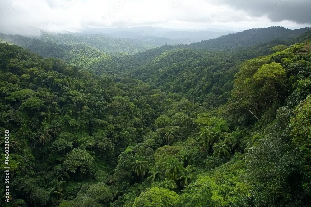 Poster Lush canopy of a tropical jungle spreads in all directions, revealing the complexity of the rainforest under a cloudy sky, with ample space for text on the right