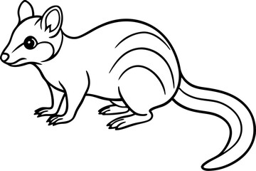 Quoll Outline Vector