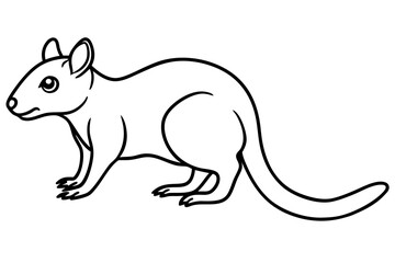 Quoll Outline Vector