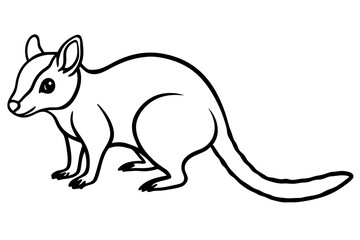 Quoll Outline Vector