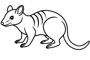 Quoll Outline Vector