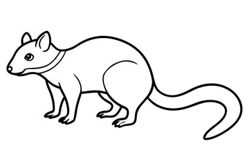 Quoll Outline Vector