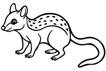 Quoll Outline Vector