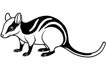 Quoll Outline Vector