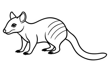 Quoll Outline Vector