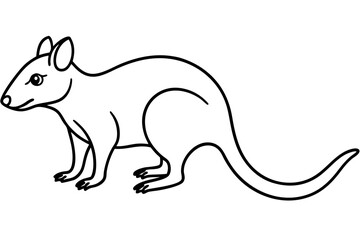 Quoll Outline Vector
