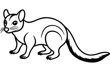 Quoll Outline Vector