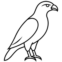 Fototapeta premium Elegant Hawk Silhouette in Line Art