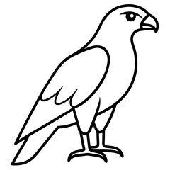 Elegant Hawk Silhouette in Line Art